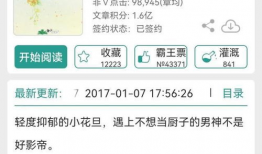 娱乐圈吃瓜文具有哪些小说,从吃瓜文到小说的奇幻之旅